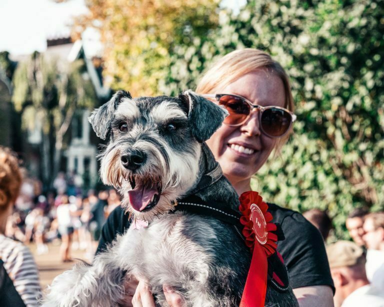 a person holding a dog